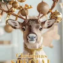 Tops Christmas_2026